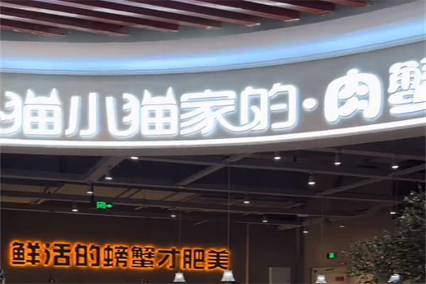 猫小猫家肉蟹煲