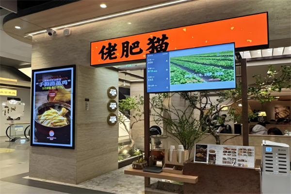 佬肥猫江浙菜