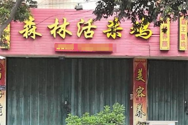 森林活杀鸡 森林活杀鸡