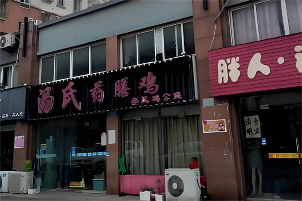 汤氏药膳鸡