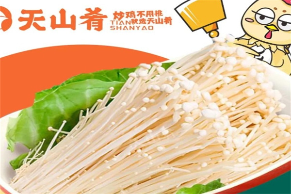 天山肴青花椒炒鸡 天山肴青花椒炒鸡