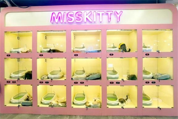 misskitty猫咖 misskitty猫咖