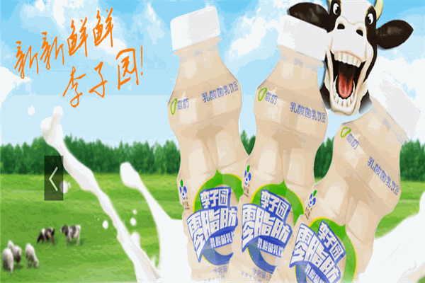 李子园牛奶