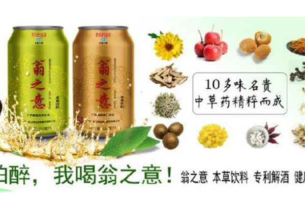 翁之意