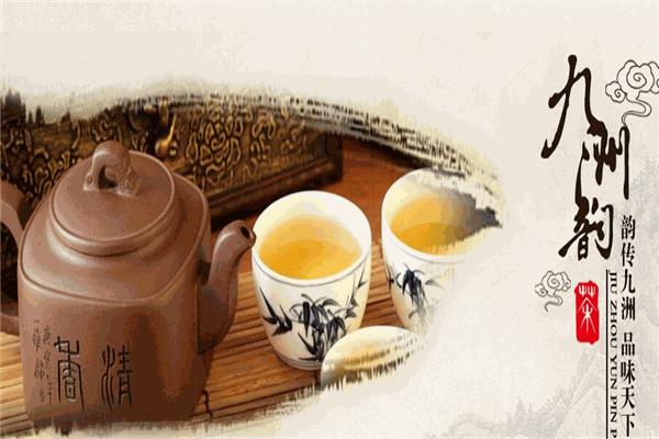 九洲韵茶叶