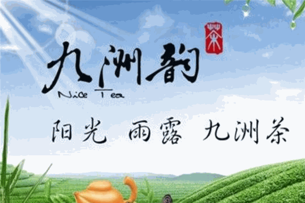 九洲韵茶叶