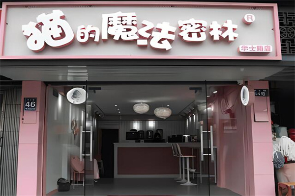 猫的魔法密林奶茶店