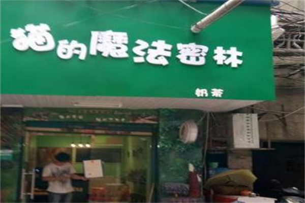 猫的魔法密林奶茶店