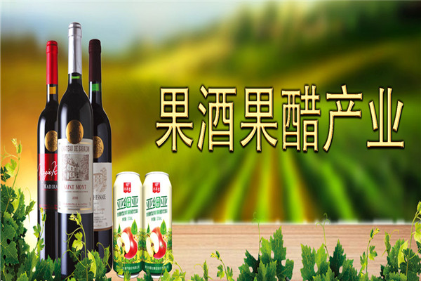 琅琊台酒 琅琊台酒