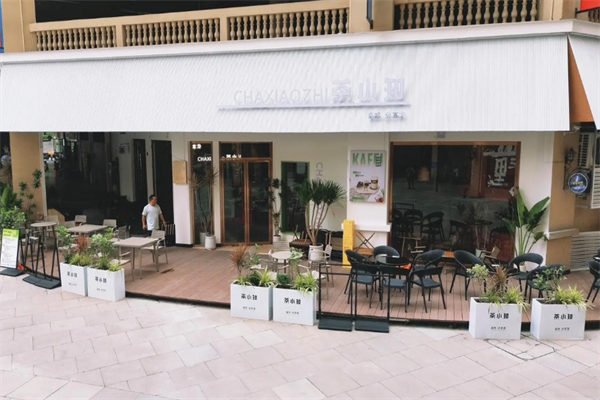 茶小知 茶小知