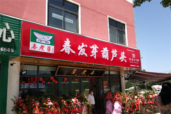 春发芽葫芦头 春发芽葫芦头