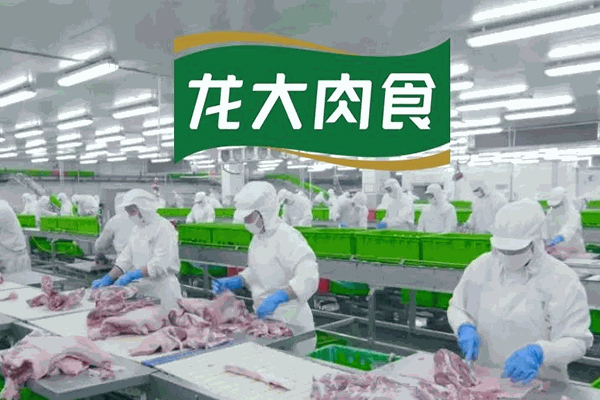 龙大肉食加盟