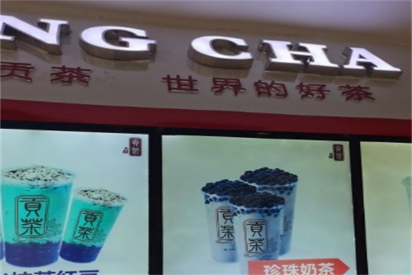高山贡茶