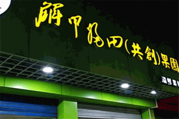解甲归田水果店