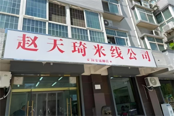 赵天琦米线