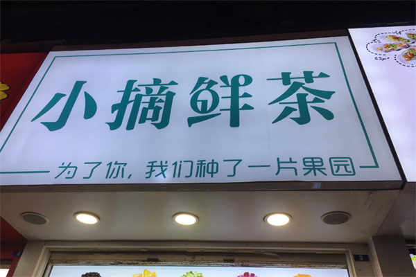 小摘鲜茶