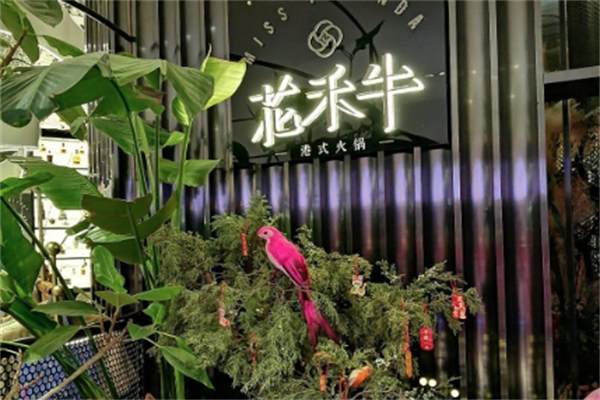 花禾牛海鲜火锅