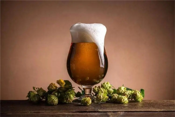 德国麦森精酿啤酒