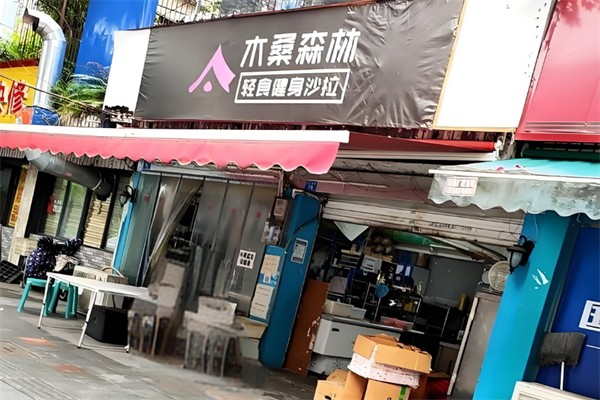 木桑森林轻食沙拉