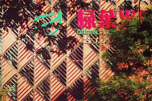 绿叶老火锅