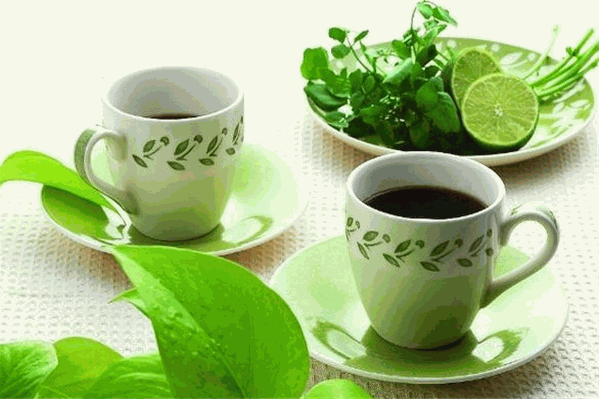 杏林春凉茶加盟 杏林春凉茶加盟