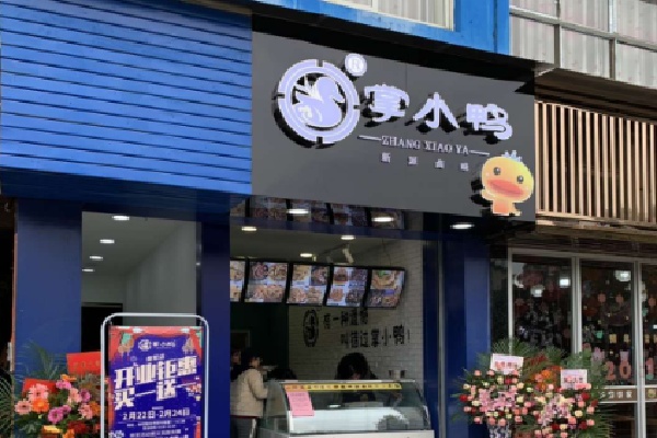 掌小鸭