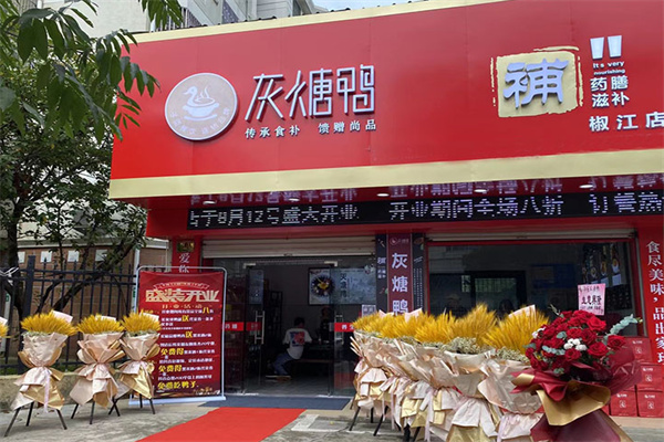 子臣灰煻鸭