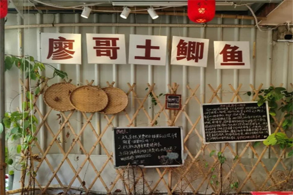 岩哥土鲫鱼 岩哥土鲫鱼