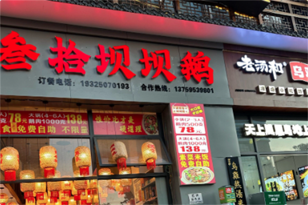 贰叁拾坝坝鹅 贰叁拾坝坝鹅