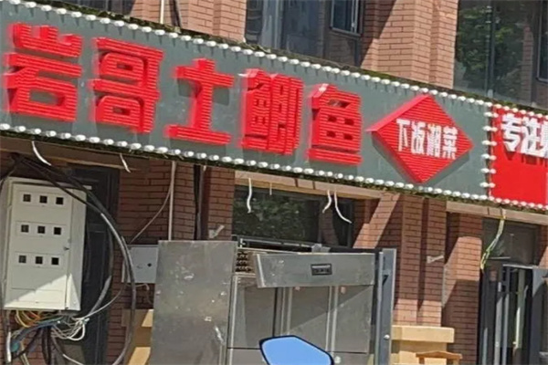 岩哥土鲫鱼 岩哥土鲫鱼