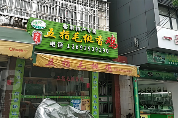 五指毛桃香鸡