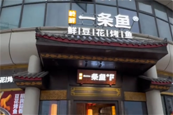 岭鲜一条鱼豆花烤鱼