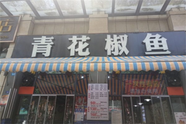 青花椒花椒鱼 青花椒花椒鱼