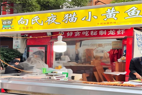 向氏夜猫子小黄鱼 向氏夜猫子小黄鱼