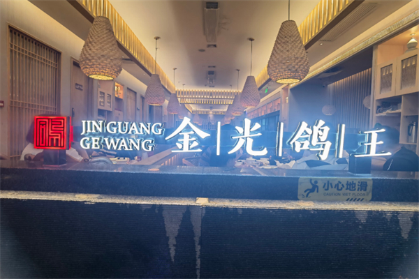 金光鸽王 金光鸽王