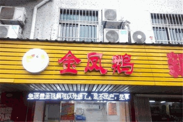 金凤鹅
