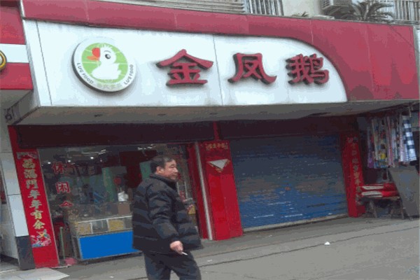 金凤鹅