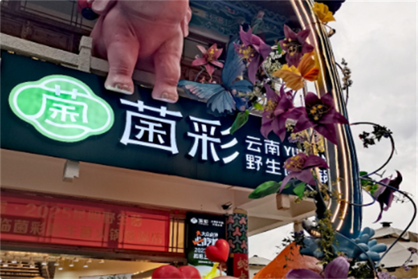 菌彩·野生菌火锅 菌彩·野生菌火锅