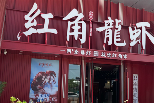 红角龙虾 红角龙虾