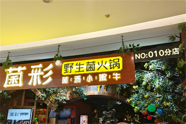 菌彩·野生菌火锅 菌彩·野生菌火锅