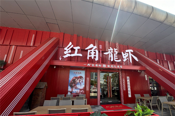 红角龙虾 红角龙虾