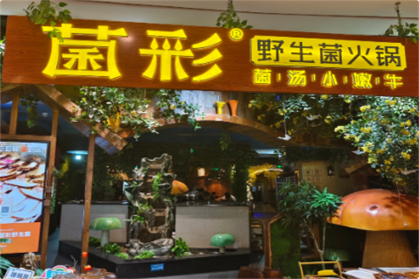 菌彩·野生菌火锅 菌彩·野生菌火锅