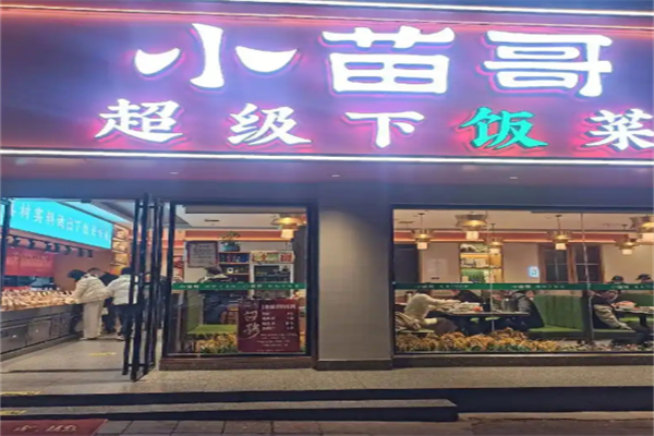 小苗哥下饭菜 小苗哥下饭菜