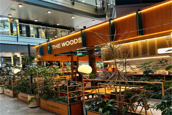 THE WOODS