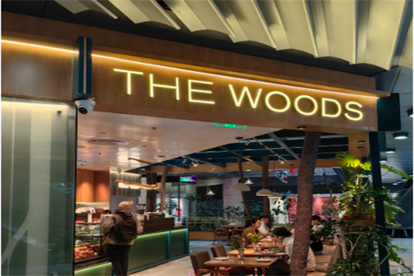 THE WOODS