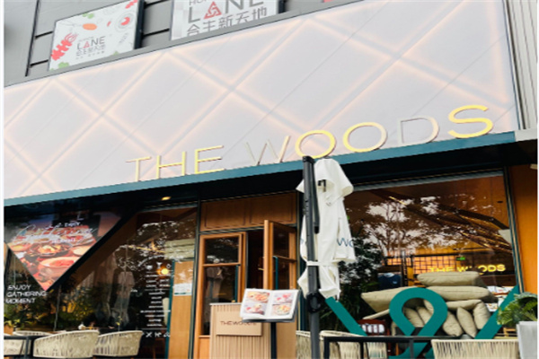 THE WOODS