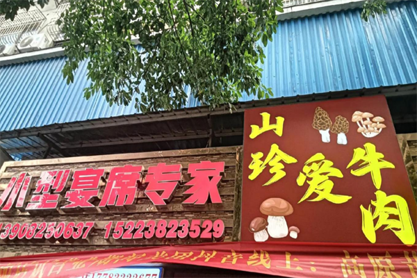 山珍爱上牛肉