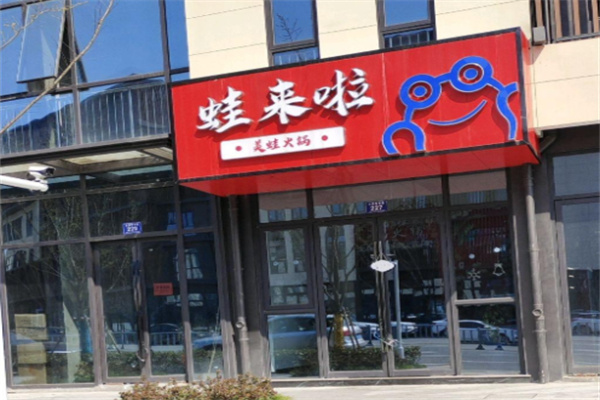 蛙来啦 蛙来啦