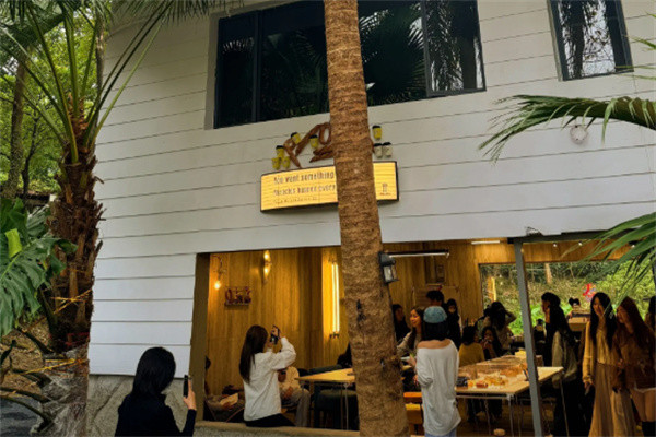 MONKEY PAI MONKEY PAI