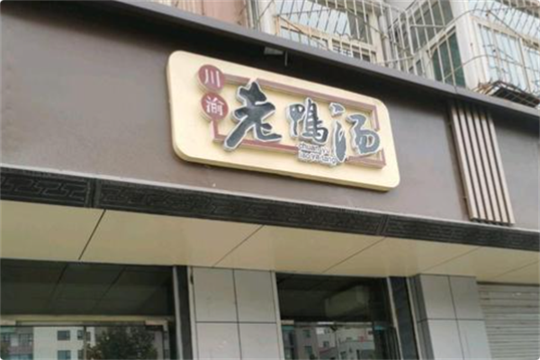 川渝老鸭汤 川渝老鸭汤